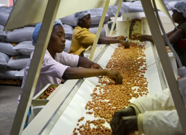 Sorting Peanuts